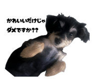 837666002