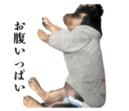 837666006