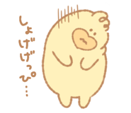 837667119