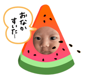 837667252