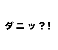 837667298