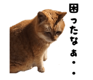 837672882
