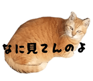 837672886