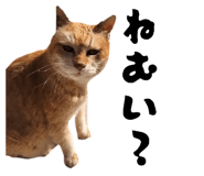 837672887