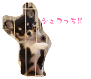 837674219