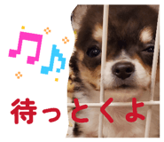 837674232