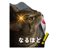 837679187