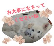 837679190