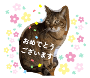 837679196