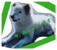 837679219