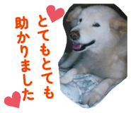 837679223