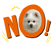 837679685
