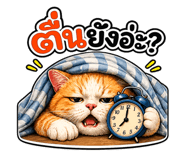 837680346
