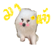 837680416