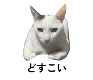 837682457