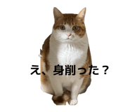837682464