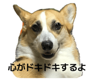 837682466