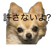 837682467