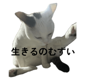 837682483
