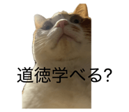 837682492