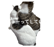 837682496