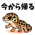 837683432