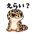 837683445