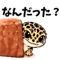 837683446