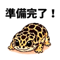 837683451