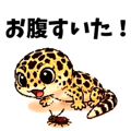 837683455