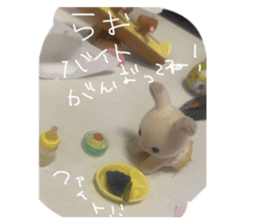 837687104