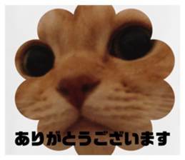 837693881