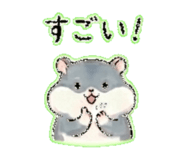 837700206