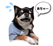 837703698