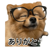 837703787