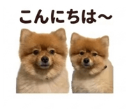 837703791