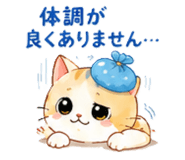 837704380