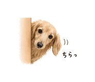 837711587
