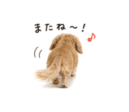 837711604