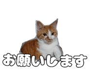 837715649