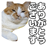 837715654