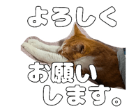 837715656