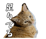 837715659