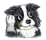 837717529