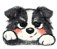 837717553