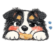 837717555