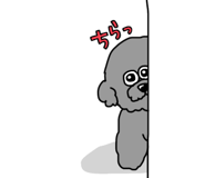 837718496