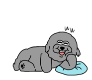 837718503