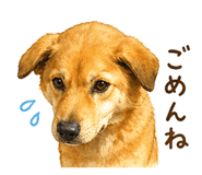 837725099