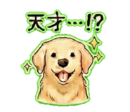 837727141